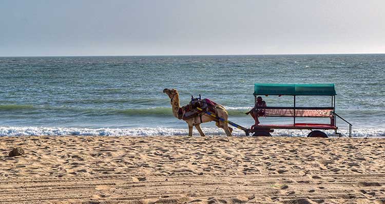 Mandvi Beach tour