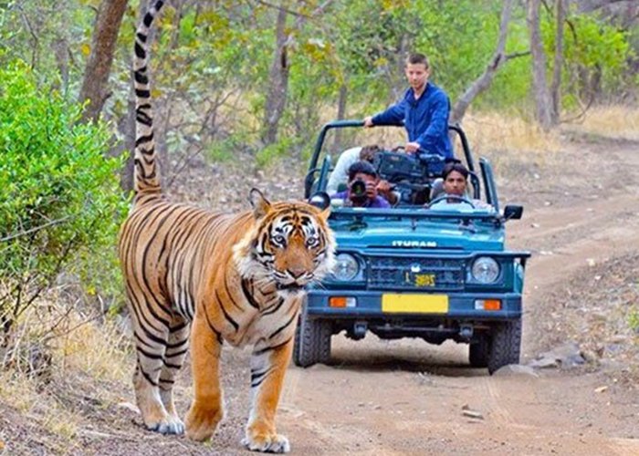 Corbett National Park.